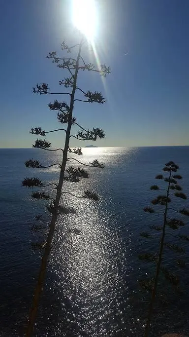 Piombino Apartments Casa Medici 0*,